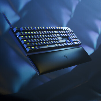 雷蛇（Razer）猎魂光蛛V2 线性光轴 机械键盘 有线键盘 游戏键盘 吃鸡 电脑键盘 104键 RGB灯效 带腕托
