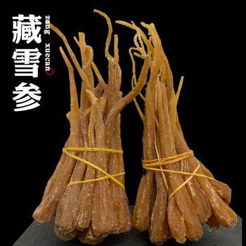 北京同仁堂原料西藏雪参250克野生藏血参雪人参玉人参红毛阳参刺参