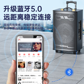 新科 （Shinco）T30 广场舞音响户外拉杆蓝牙音箱三喇叭重低音木质箱体家用K歌移动摆摊低音炮 8吋单咪