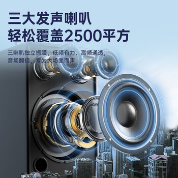 新科 （Shinco）T30 广场舞音响户外拉杆蓝牙音箱三喇叭重低音木质箱体家用K歌移动摆摊低音炮 8吋单咪