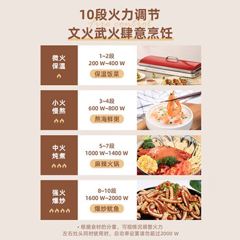 松下（Panasonic）金色 多用途锅 聚嗨盘 网红锅 多功能锅 料理烧烤火锅一体锅 左右独立控温 NF-M1-W
