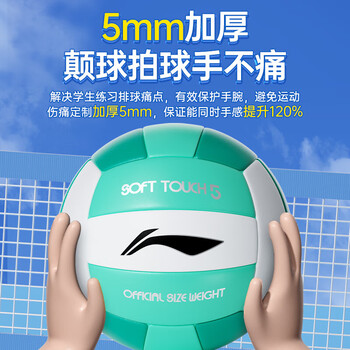 李宁（LI-NING）排球【中考训练】比赛专用中小学体考成人儿童男女硬排软排球5号 