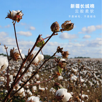 三利A类新疆棉长绒棉毛巾2条装 纯棉洗脸加厚柔软强吸水 蓝+粉