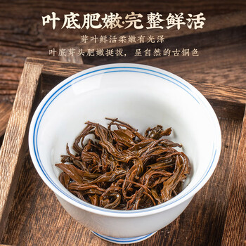 茗军师红茶武夷山正山小种250g浓香新茶茶叶年货节高端装送长辈领导礼品