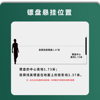 英辉（INVUI）飞镖盘套装儿童磁铁飞镖双面大号公司娱乐团建玩具安全17寸