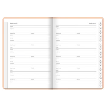 Filofax＆Letts联名款英国进口记事本PASTEL帕斯泰尔彩粉系列定页笔记本中号蜜桃粉色信息联络本090032