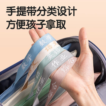 得力（deli）网纱拉链袋文件袋一年级 文具袋透明学科分类袋试卷作业收纳 彩色款5科混装PP115A