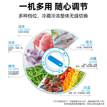 星星(XINGX) 219升小型冰柜家用 冷藏冷冻转换冷柜 大容量单温单箱低霜 顶开门冰箱 BD/BC-219E 星星(XINGX) 219升小型冰柜家用 冷藏冷冻转换冷柜 大容量单温单箱低霜 顶开门冰箱 BD/BC-219E