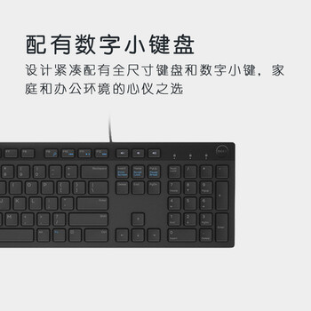 戴尔（DELL）KB216 键盘 有线  多媒体键盘 办公键盘 全尺寸键盘  即插即用  键盘（黑色）