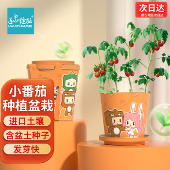 藍釉開片八方鉢 盆栽 多肉菖蒲盆栽 植木鉢 景德镇 装饰品 工艺品 置物 盆栽世界ウェブショップ / 「長青盆藝」小品鉢5品セット