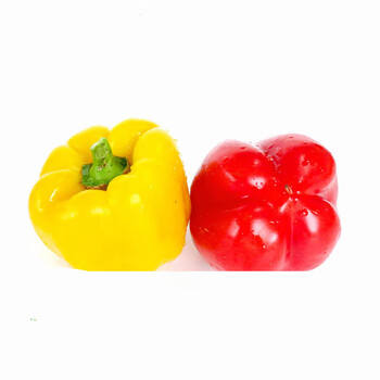 粒司新鲜彩椒圆椒红黄彩椒灯笼椒甜圆椒沙拉蔬菜500g500g