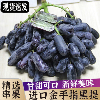 顺丰 进口金手指无籽黑提 美人指 蓝宝石无籽提子 新鲜水果1-4斤 一级