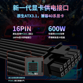 长城（Great Wall）额定2000W N20金牌全模 ATX3.1电源（原生PCIe5.1接口/编织模组线/智能温控）
