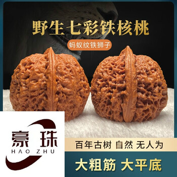 文玩铁核桃品牌及商品- 京东