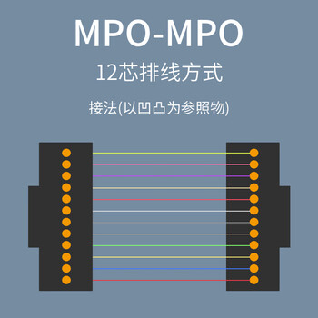 广昌兴(G.C.X)万兆多模mpo-mpo光纤跳线om4 12个芯 3m母头B极性兼容MTP-MTP支持400g/100g/200g/40g光模块线