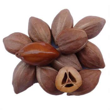 可颖a橄榄核原核 橄榄核原料大核老料大三角原籽饱满红润厚壁同树大直