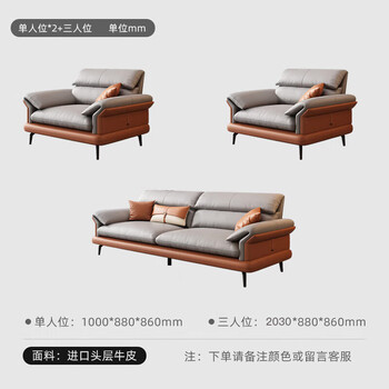 香尔特（Xiangerte）办公沙发简约现代商务沙发会客接待休息1+1+3【接触面牛皮】