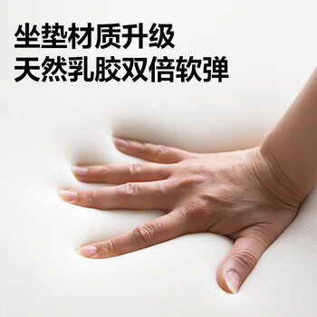 得力（deli）KF221-J人体工学椅  升降扶手办公电脑椅 合金脚带脚托 臻享版