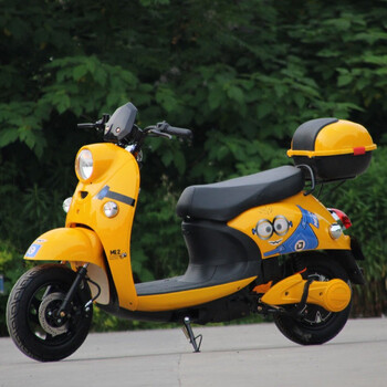 新款国标单灯小龟王电动车男女式成人可上牌电摩电瓶车装平尾箱的下单