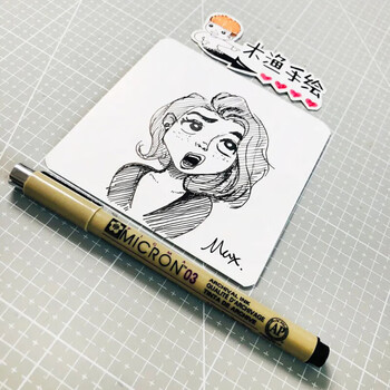 樱花（SAKURA）针管笔勾线笔005号0.2mm 12支整盒装 日本进口防水绘图笔水笔学生儿童美术绘画手绘漫画动漫设计