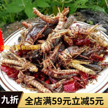 春~正宗新鮮香辣蝗蟲油炸螞蚱山東特產即食昆蟲蚱蜢零食小吃蝗蟲美食