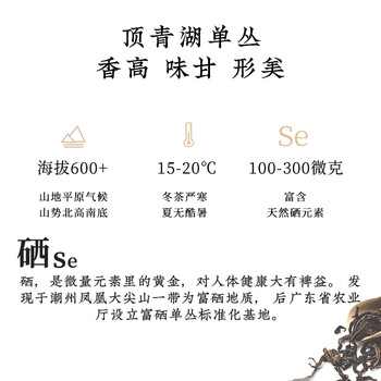 顶青湖 特级凤凰单枞茶特级高山小罐装 鸭屎香+蜜兰香 2泡装 16g 小泡装