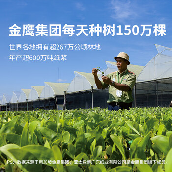 亚太森博拷贝可乐A4打印纸 70g500张*4包 双面打印不透印 字迹清晰 复印纸 整箱2000张【专业造纸厂牌】