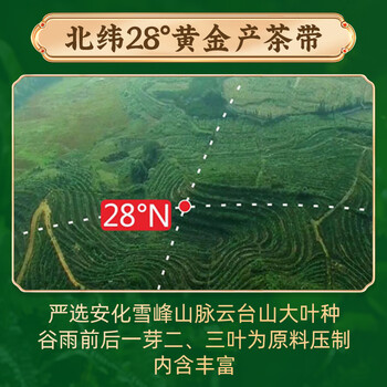 白沙溪 安化黑茶 2022年金花茯茶砖茶天尖嫩料天茯茶叶礼盒1000g送礼袋