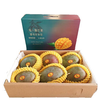 图石果记【礼盒装】四川攀枝花凯特大芒果净重4.