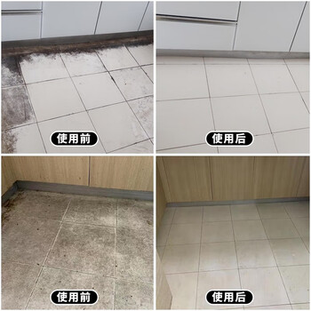 盾王瓷砖清洁剂500ml 去黄去污浴室家用清洗剂 厕所地砖地板强力除垢