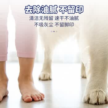 巨奇（JUQI）地板清洁片100片家用拖地擦洗瓷砖木地板保养清洁剂液去污片