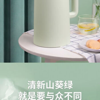 九阳（Joyoung）烧水壶电水壶【304不锈钢自动断电】家用1.7L大容量热水壶电热水壶 K17-F620