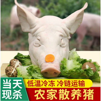 新鲜猪头半头猪脸肉土猪头带骨猪脸带耳朵生鲜安德兰半只猪头无耳3236