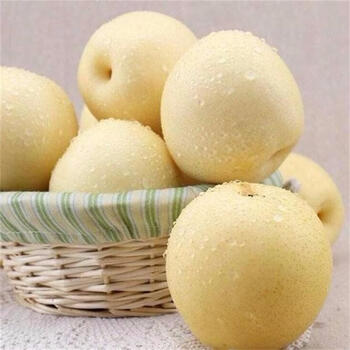 黔客行 河北白皇冠梨2斤(3-4个) 新鲜水果脆甜鸭梨白梨子雪梨 生鲜