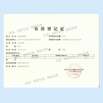 绿叶 粘鼠板10片 新世纪精装捕鼠板 强力胶水粘性 花生香味引诱