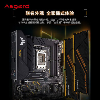 阿斯加特（Asgard）32GB(16GBx2) DDR4 3200 台式机内存条 金伦加&TUF联名款 马甲条 精选颗粒 CL18 黑橙甲