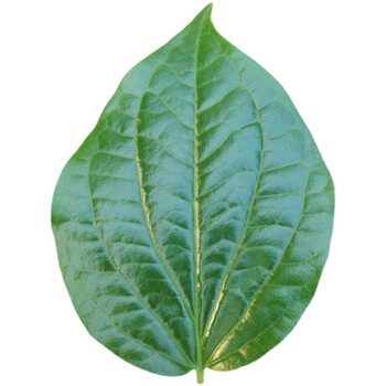 蛤蝼叶广东野菜新鲜蛤篓叶山篓叶蛤捞叶越南菜假蒌叶哈喽叶蛤蒌叶 500g【图片 价格 品牌 报价】-京东