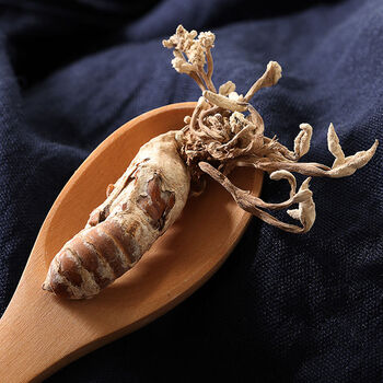 新货野生蝉花金蝉花虫草正宗100g知了花金蟾花金婵花 10只精选各个