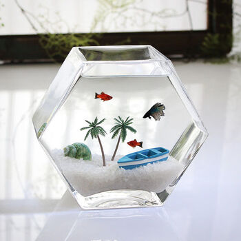 五边形玻璃鱼缸加厚玻璃高透亮鱼缸小号斗鱼缸热带鱼缸桌面鱼缸