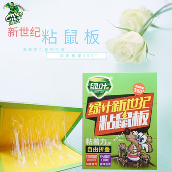 绿叶 粘鼠板10片 新世纪精装捕鼠板 强力胶水粘性 花生香味引诱