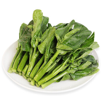 东升农场芥兰苗供港宁夏蔬菜新鲜配送250g