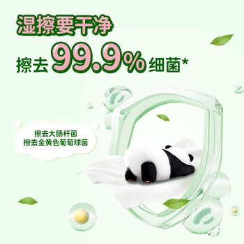 清风 湿厕纸60片/包 便携抽取式家庭装擦屁屁专用熊猫款 