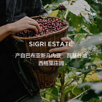 CAFFE MARYLING巴布亚新几内亚天堂鸟进口精品咖啡豆手冲新鲜中度烘焙罐装150g