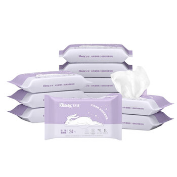 舒洁（Kleenex）湿厕纸24抽*10包湿厕纸小包洁厕湿纸巾湿厕纸女性专用湿巾厕纸