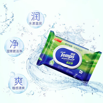 得宝Tempo芦荟40片便携装成人卫生洁肤湿纸巾*10包
