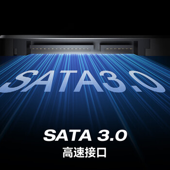 移速（MOVE SPEED) 512GB SSD固态硬盘 长江存储晶圆 国产颗粒 SATA3.0接口高速读写 金钱豹PRO系列