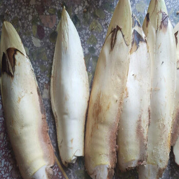 新鲜棕包米棕笋粽包甜棕棕树花5斤