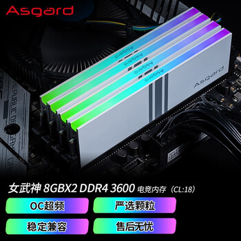 阿斯加特（Asgard）16GB(8GBx2) DDR4 3600 台式机内存条 女武神·瓦尔基里 RGB灯条 精选颗粒 CL18 极地白