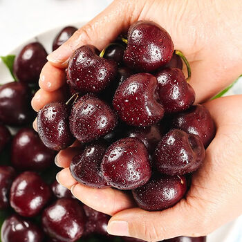 现货美国进口车厘子大樱桃礼盒装新鲜水果特大应季4j整箱顺丰空运深