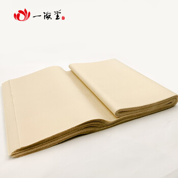 一海堂文化宣纸 文房四宝 笔墨纸砚书画练习纸初学书法国画练习仿古毛边纸 四尺四开半生熟整刀/100张